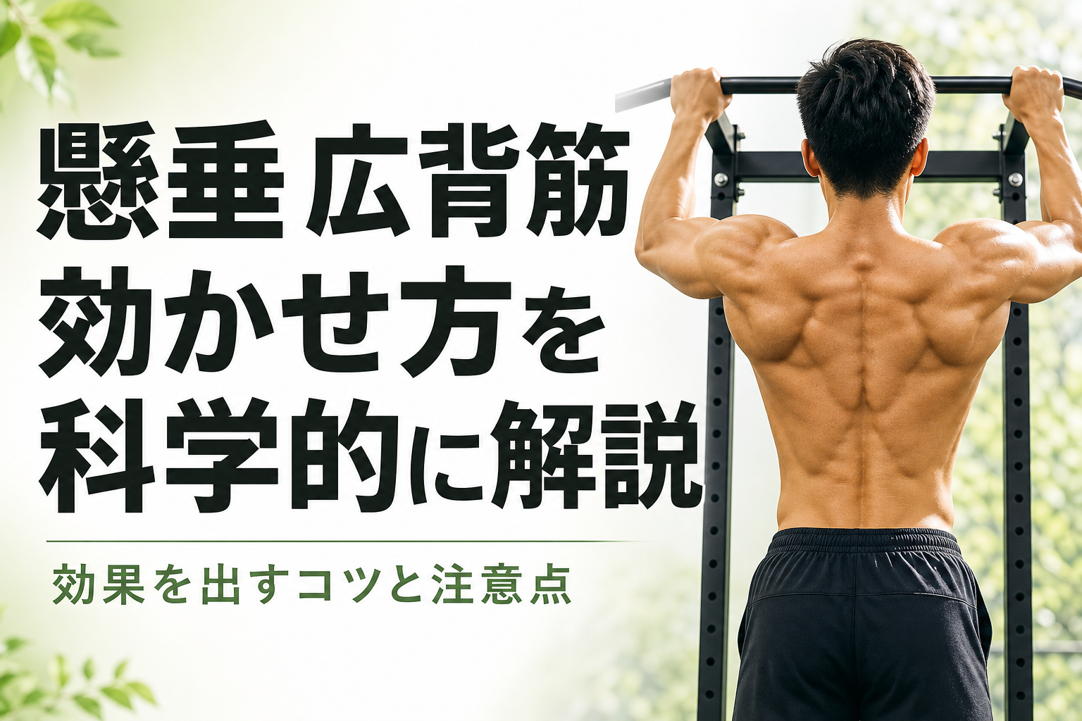 懸垂 広背筋 効かせ方を科学的に解説｜効果を出すコツと注意点