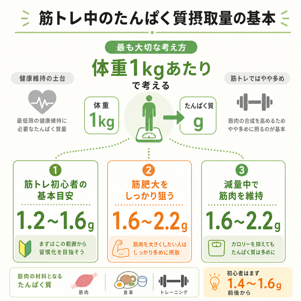 筋トレ中のたんぱく質摂取量の基本