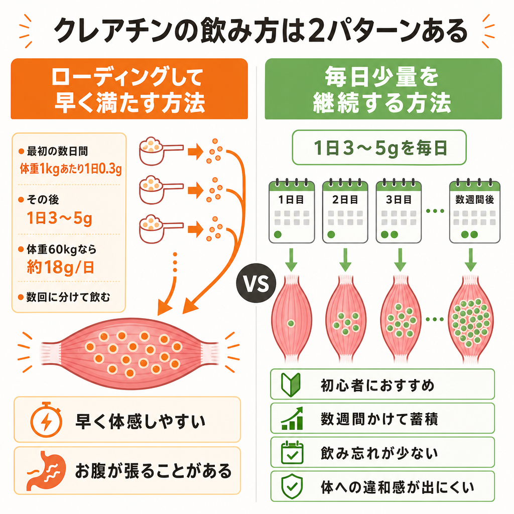 クレアチンの飲み方は2パターンある