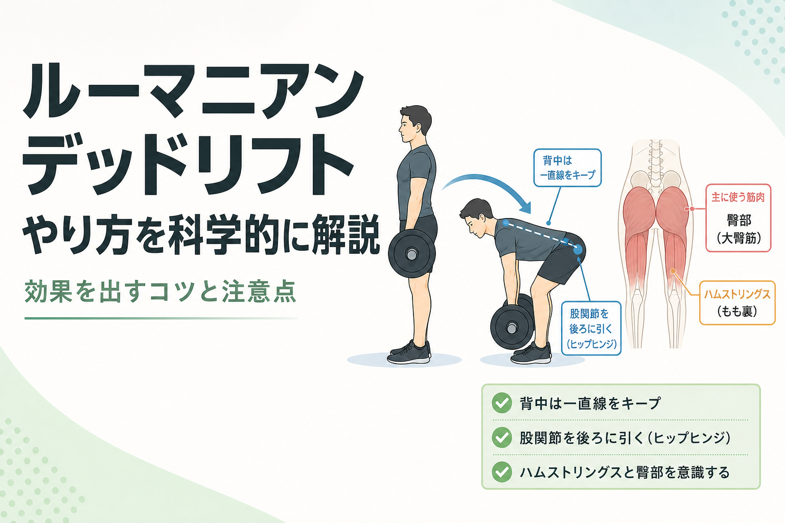 ルーマニアンデッドリフト やり方を科学的に解説｜効果を出すコツと注意点