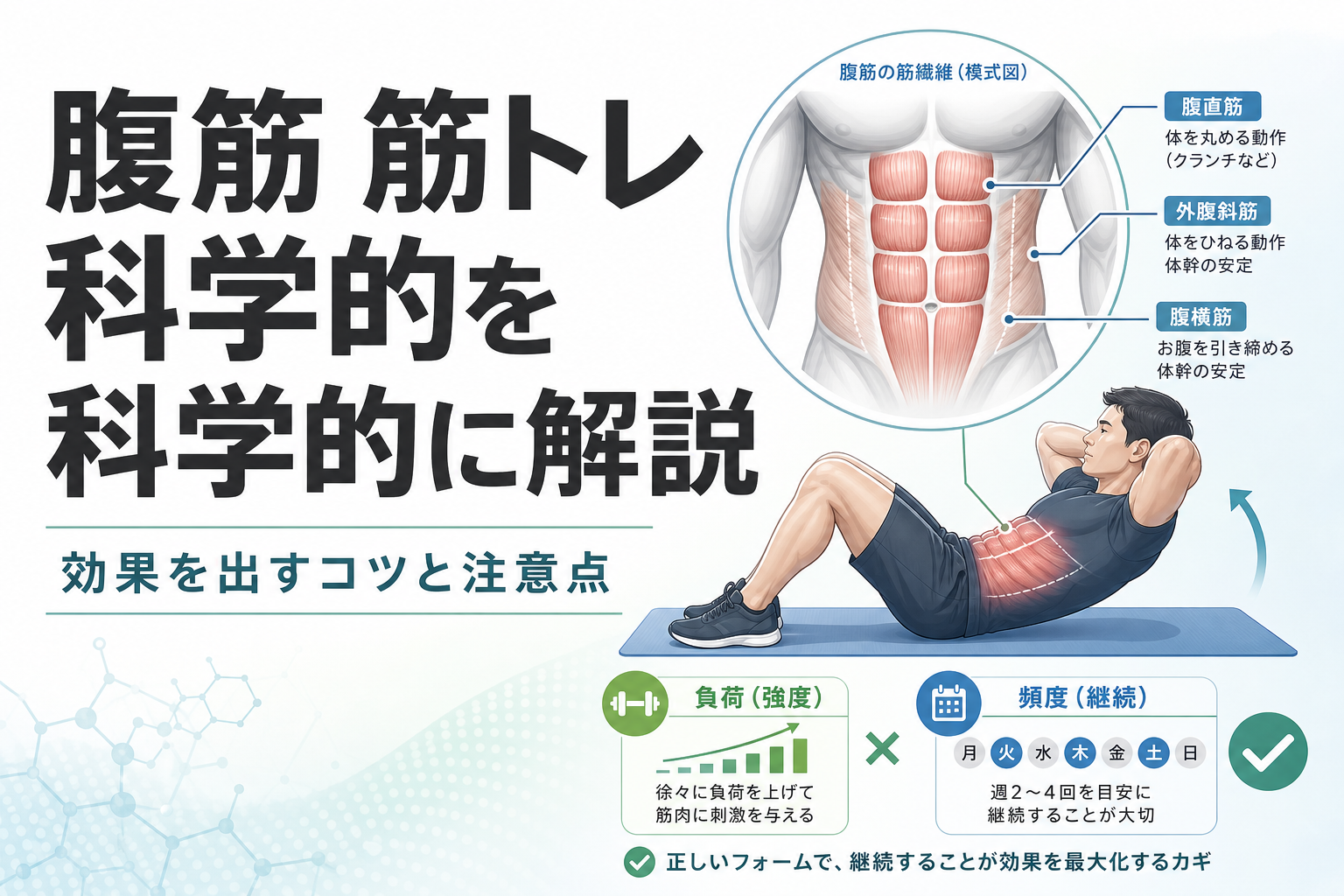 腹筋 筋トレ 科学的を科学的に解説|効果を出すコツと注意点