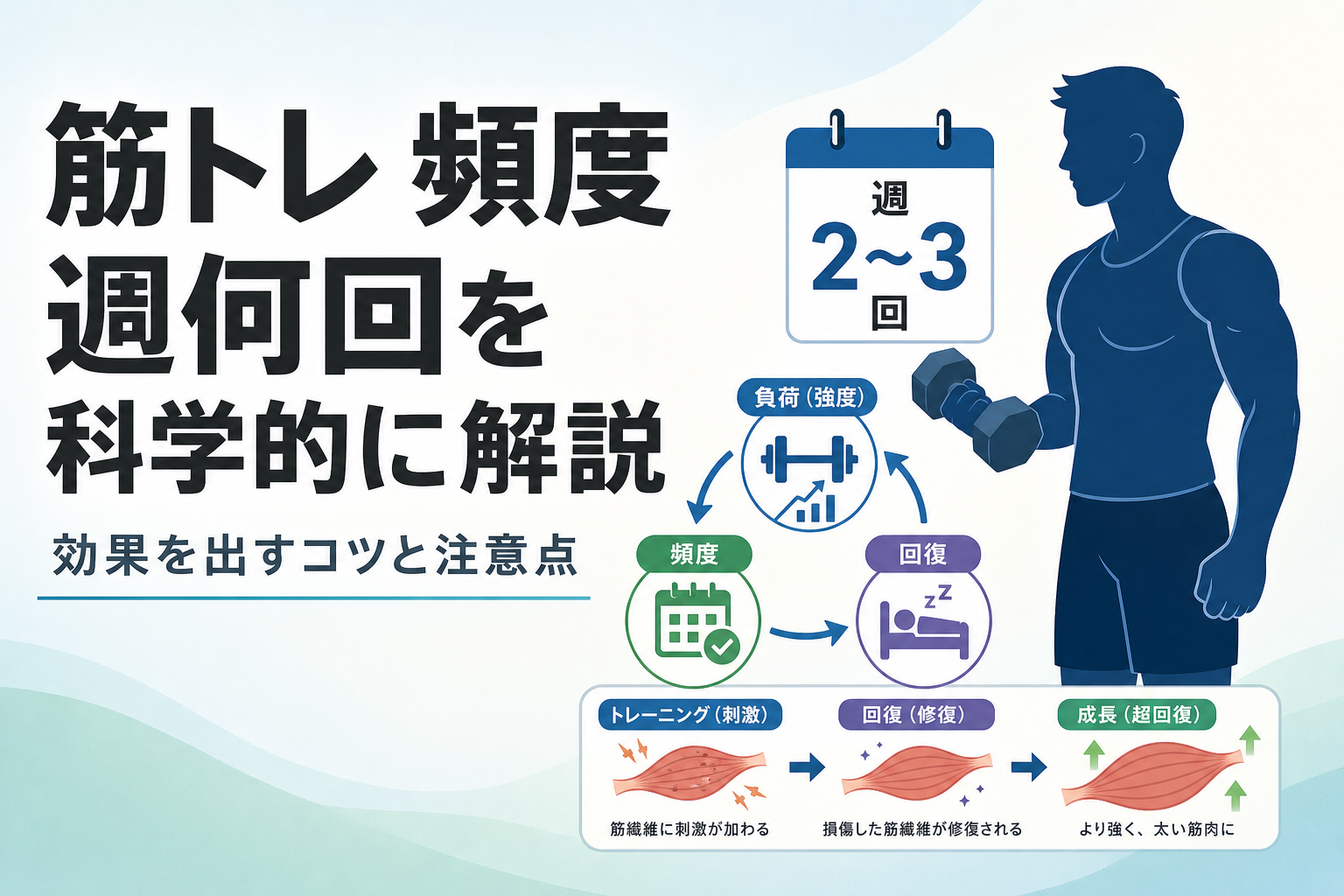 筋トレ 頻度 週何回を科学的に解説|効果を出すコツと注意点