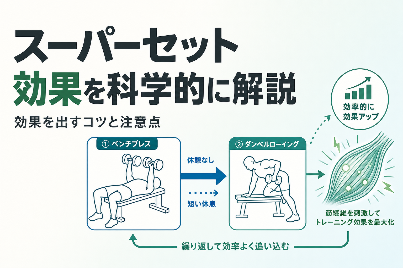 スーパーセット 効果を科学的に解説|効果を出すコツと注意点