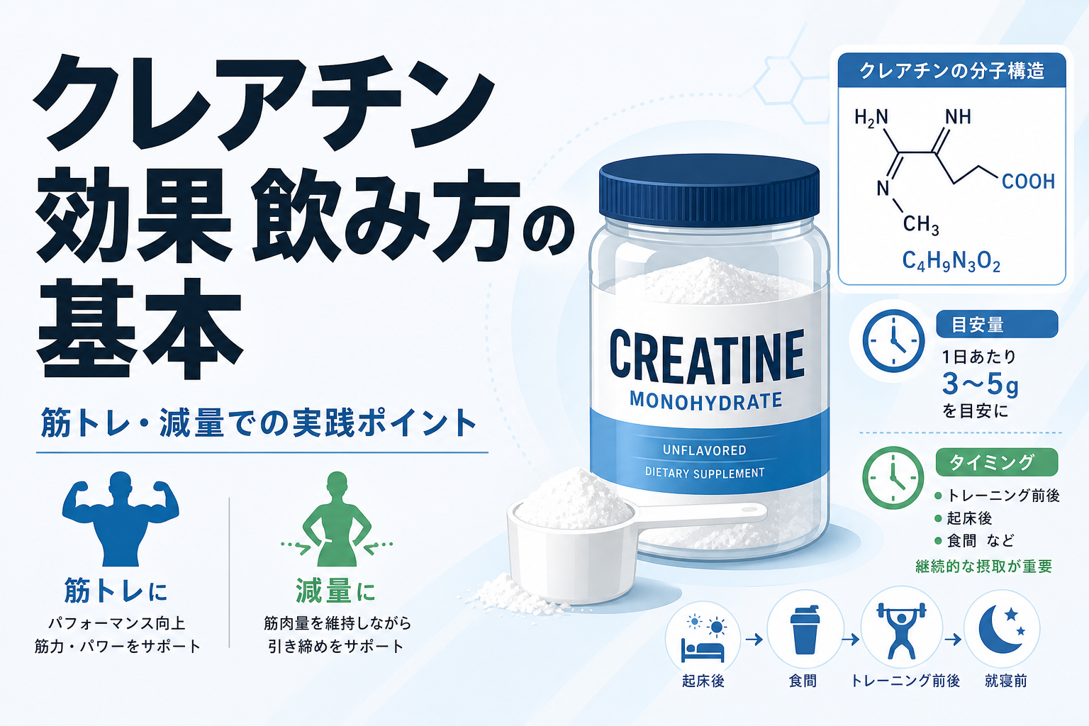 クレアチン 効果 飲み方の基本｜筋トレ・減量での実践ポイント
