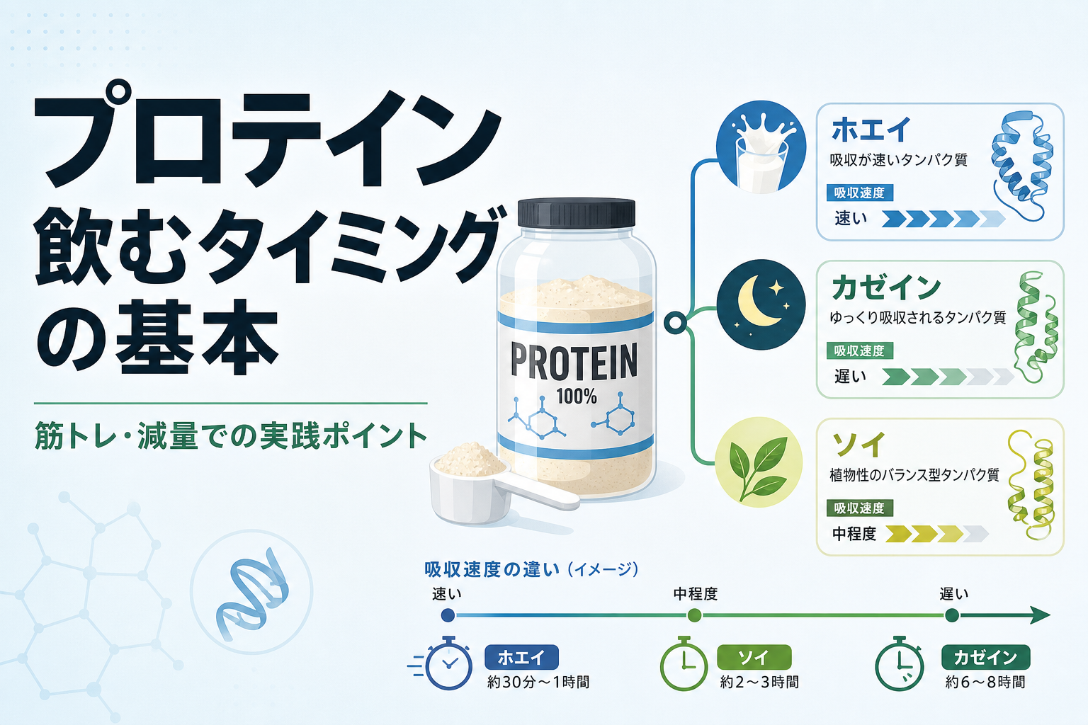 プロテイン 飲むタイミングの基本｜筋トレ・減量での実践ポイント