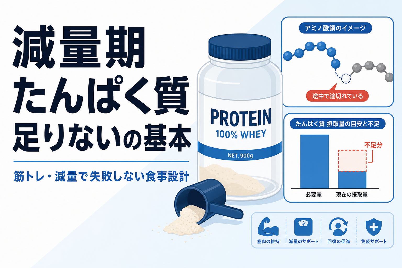 減量期 たんぱく質 足りないの基本|筋トレ・減量で失敗しない食事設計