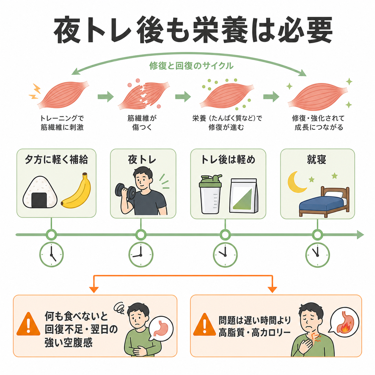 なぜ夜トレ後も食事が必要なのか