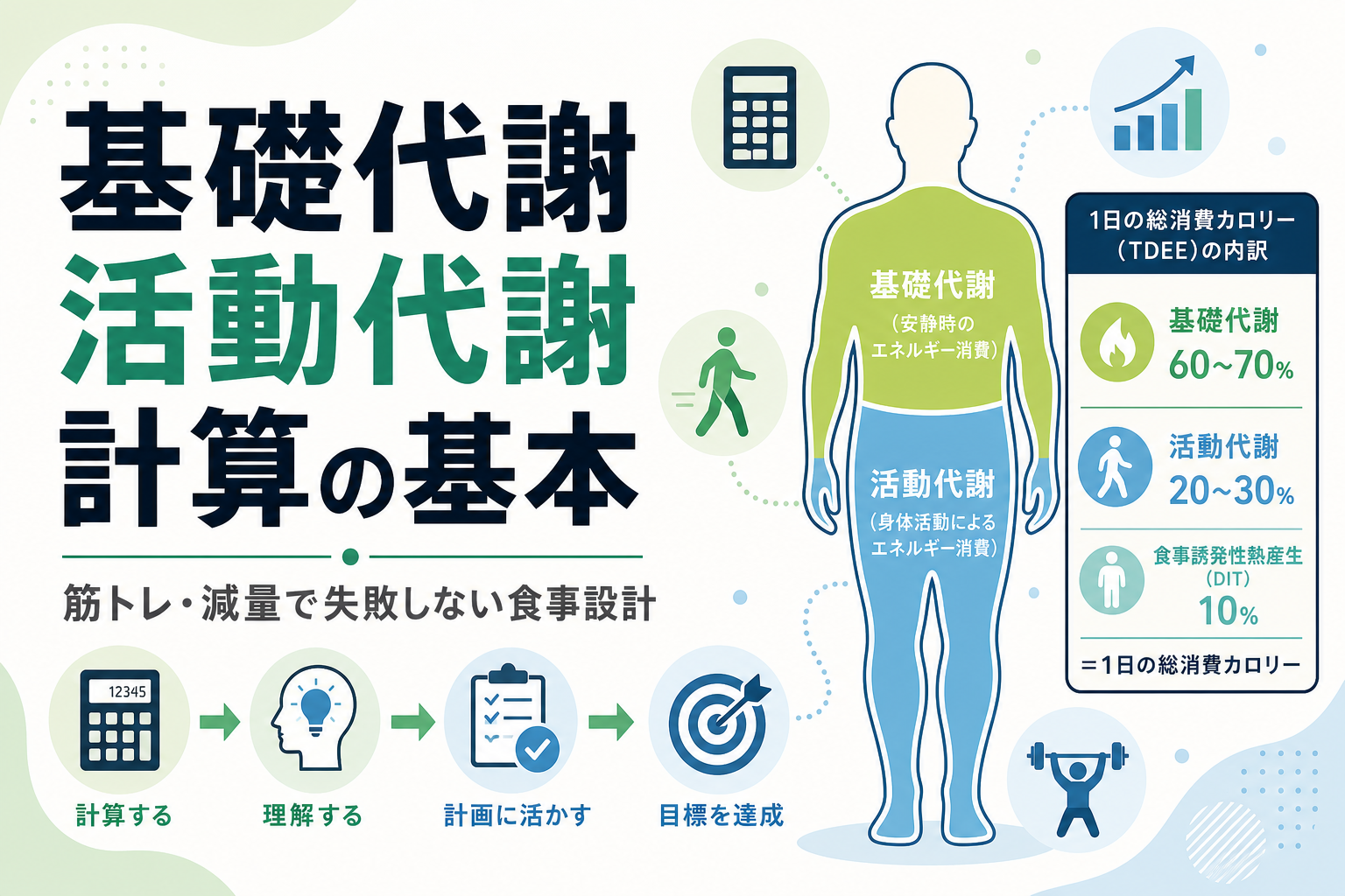 基礎代謝 活動代謝 計算の基本|筋トレ・減量で失敗しない食事設計