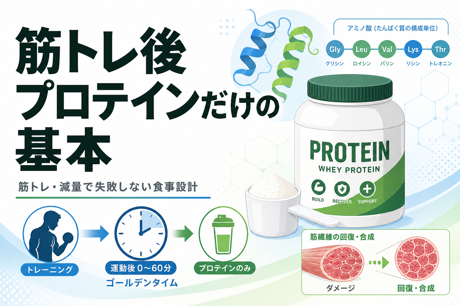筋トレ後 プロテインだけの基本|筋トレ・減量で失敗しない食事設計