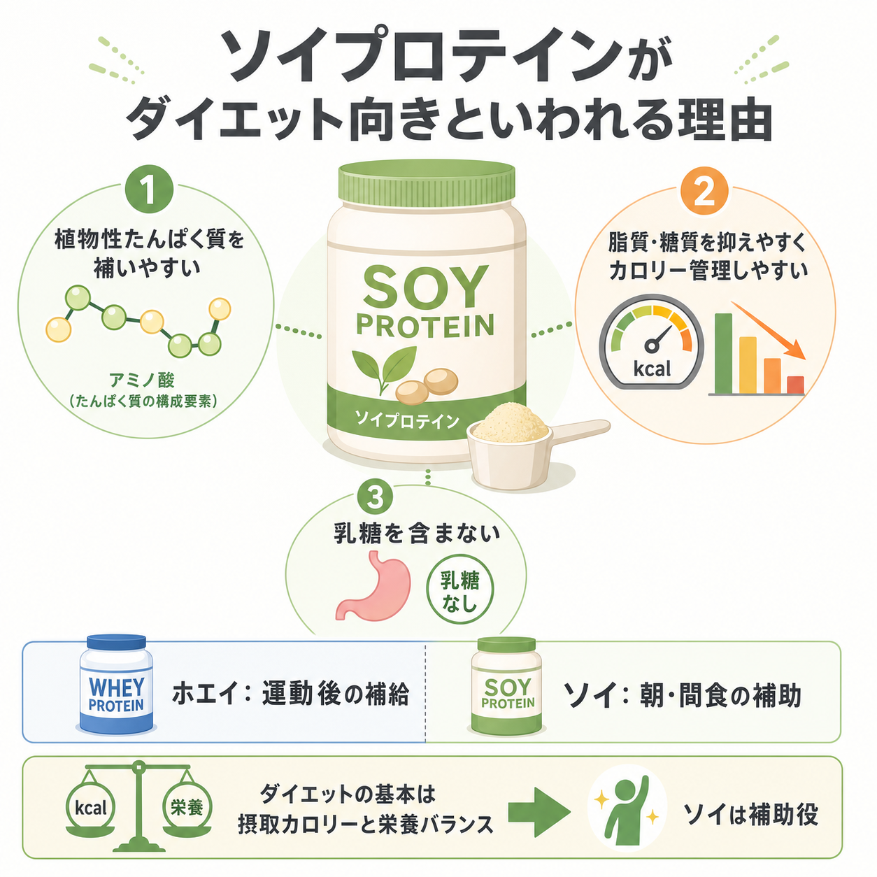 ソイプロテインがダイエット向きといわれる理由
