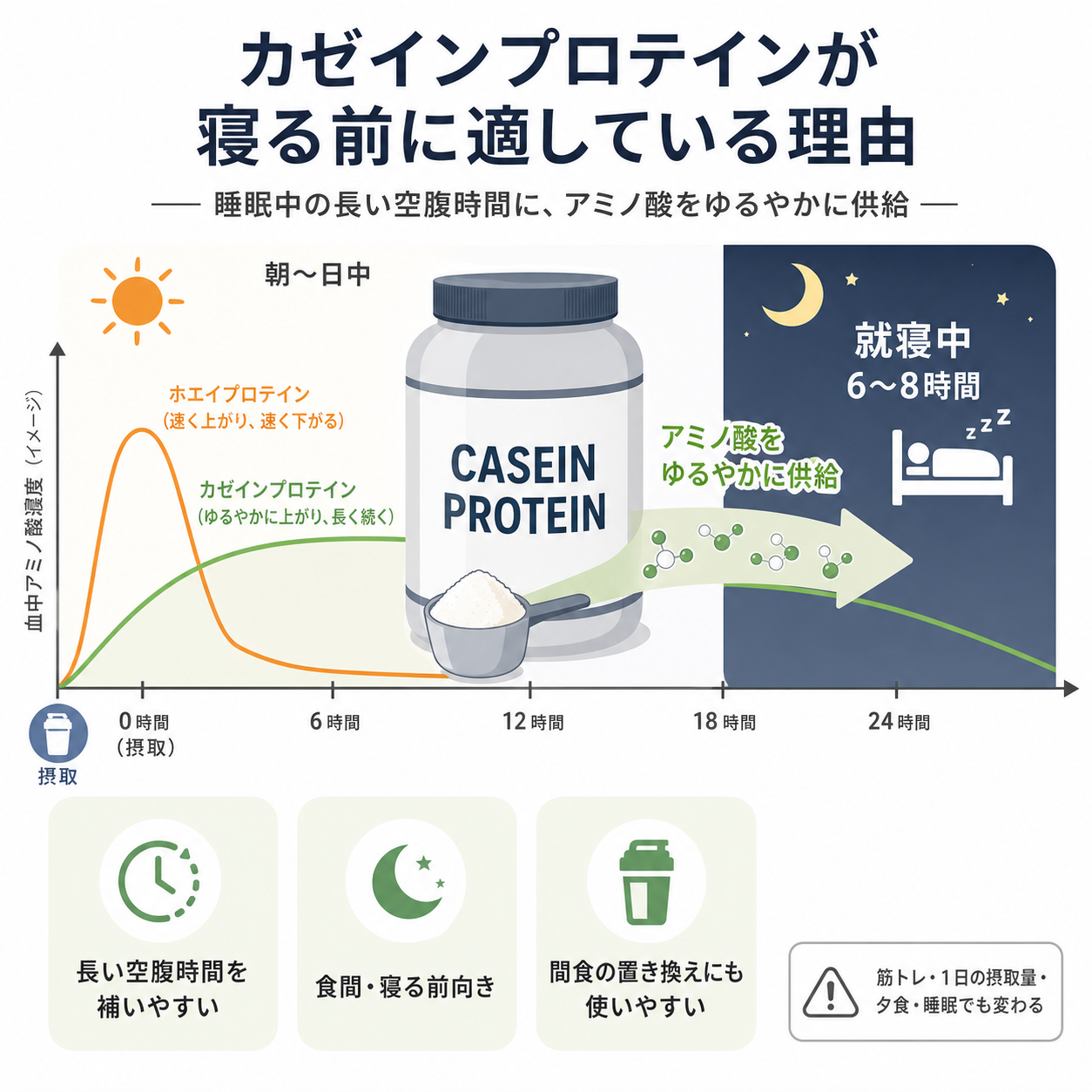 カゼインプロテインが寝る前に向く理由