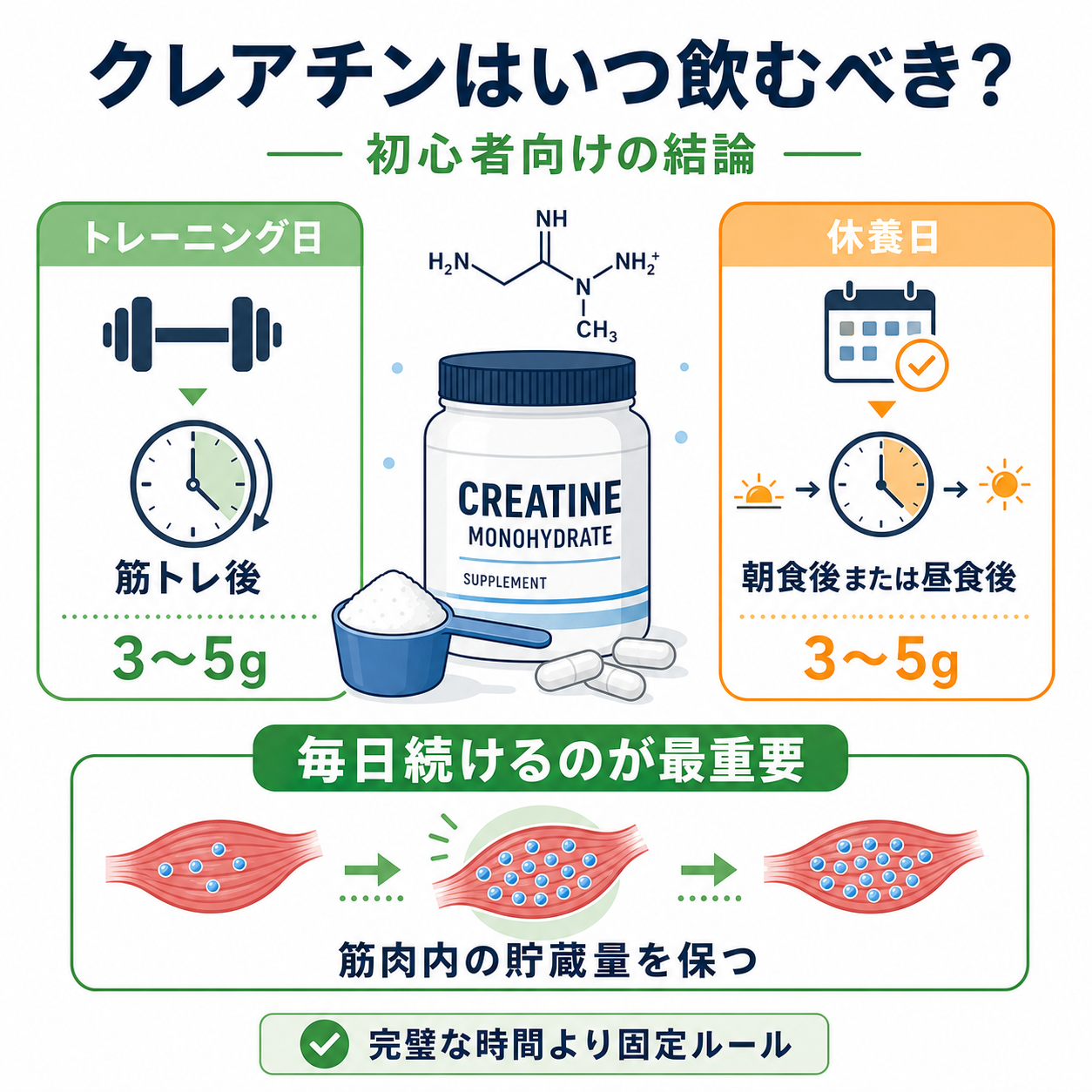 クレアチンはいつ飲むべき?初心者向けの最終結論