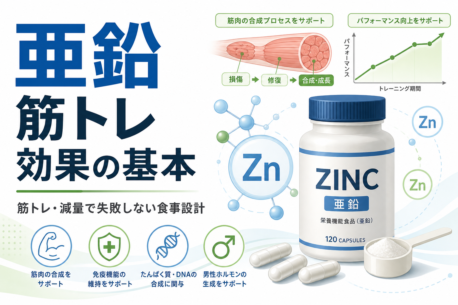 亜鉛 筋トレ 効果の基本|筋トレ・減量で失敗しない食事設計