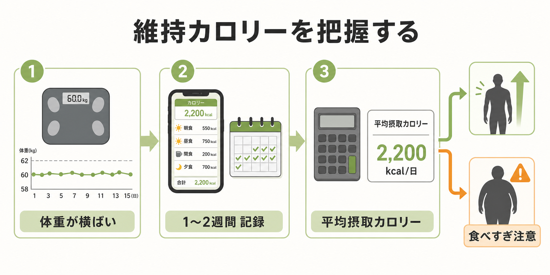 まずは維持カロリーを把握する
