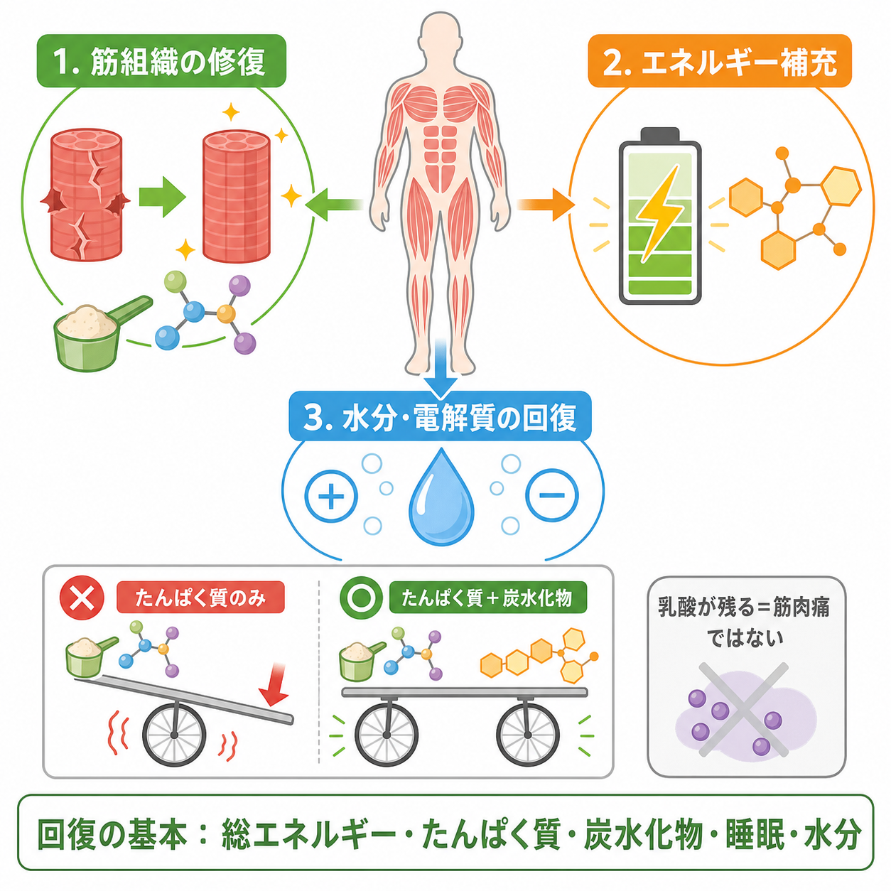 筋肉痛の回復で食事が重要な理由