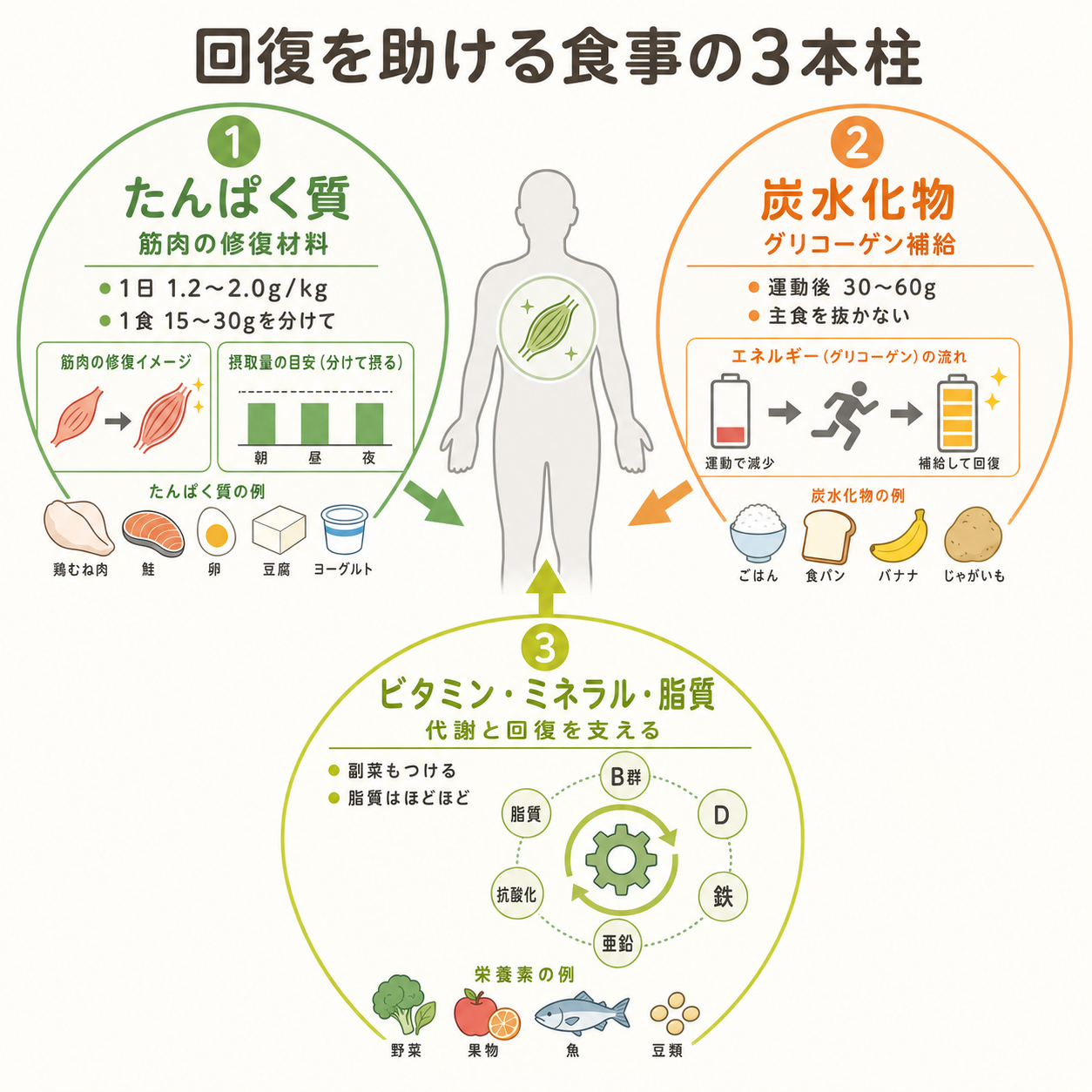 回復を助ける食事の3本柱