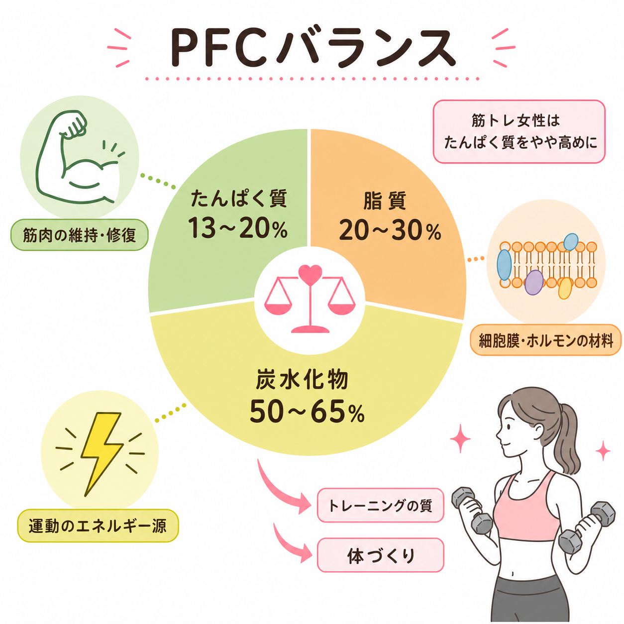 PFCバランスの基本を先に整理