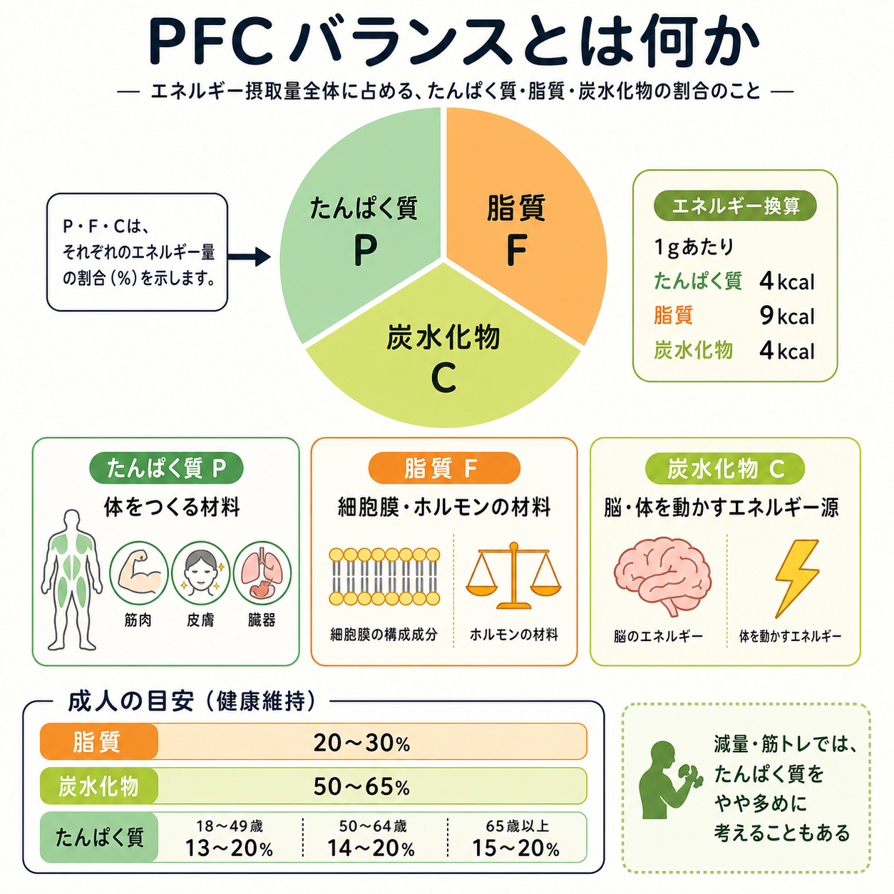 PFCバランスとは何か