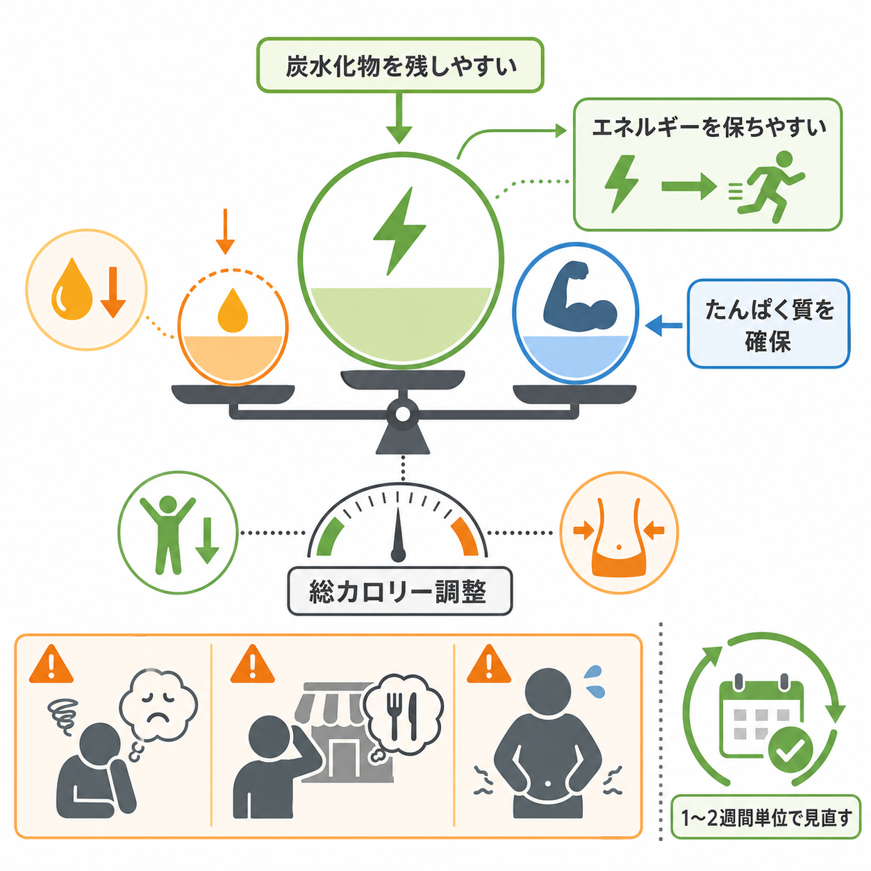 なぜ低脂質が減量や筋トレで使いやすいのか