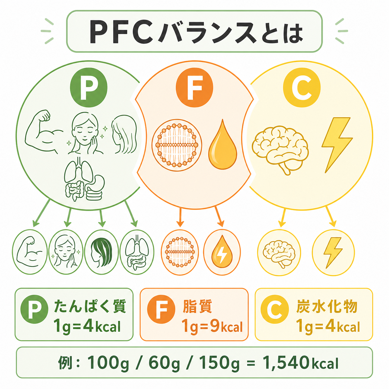 そもそもPFCバランスとは