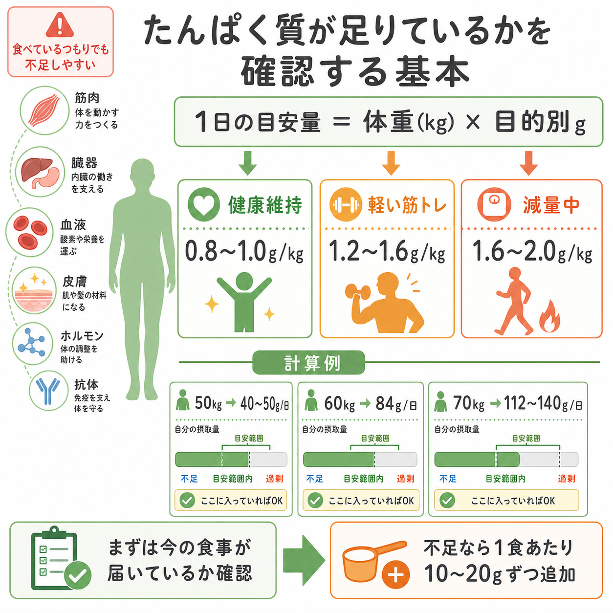 たんぱく質が足りているかを確認する基本