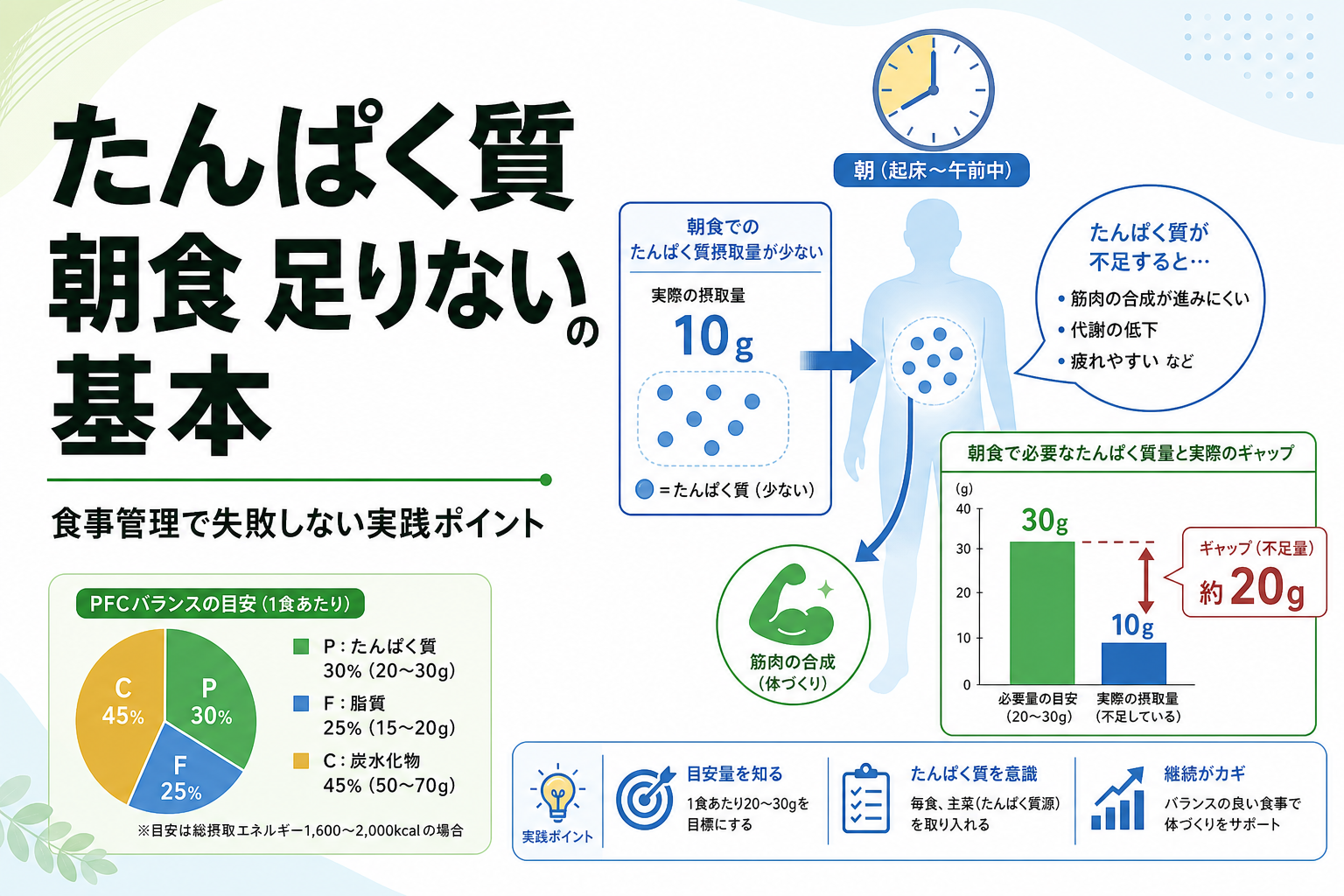 たんぱく質 朝食 足りないの基本｜食事管理で失敗しない実践ポイント