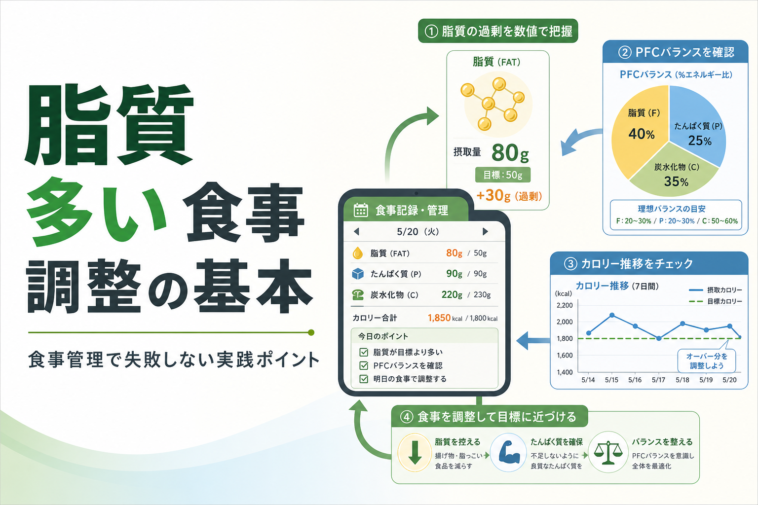 脂質 多い 食事 調整の基本｜食事管理で失敗しない実践ポイント