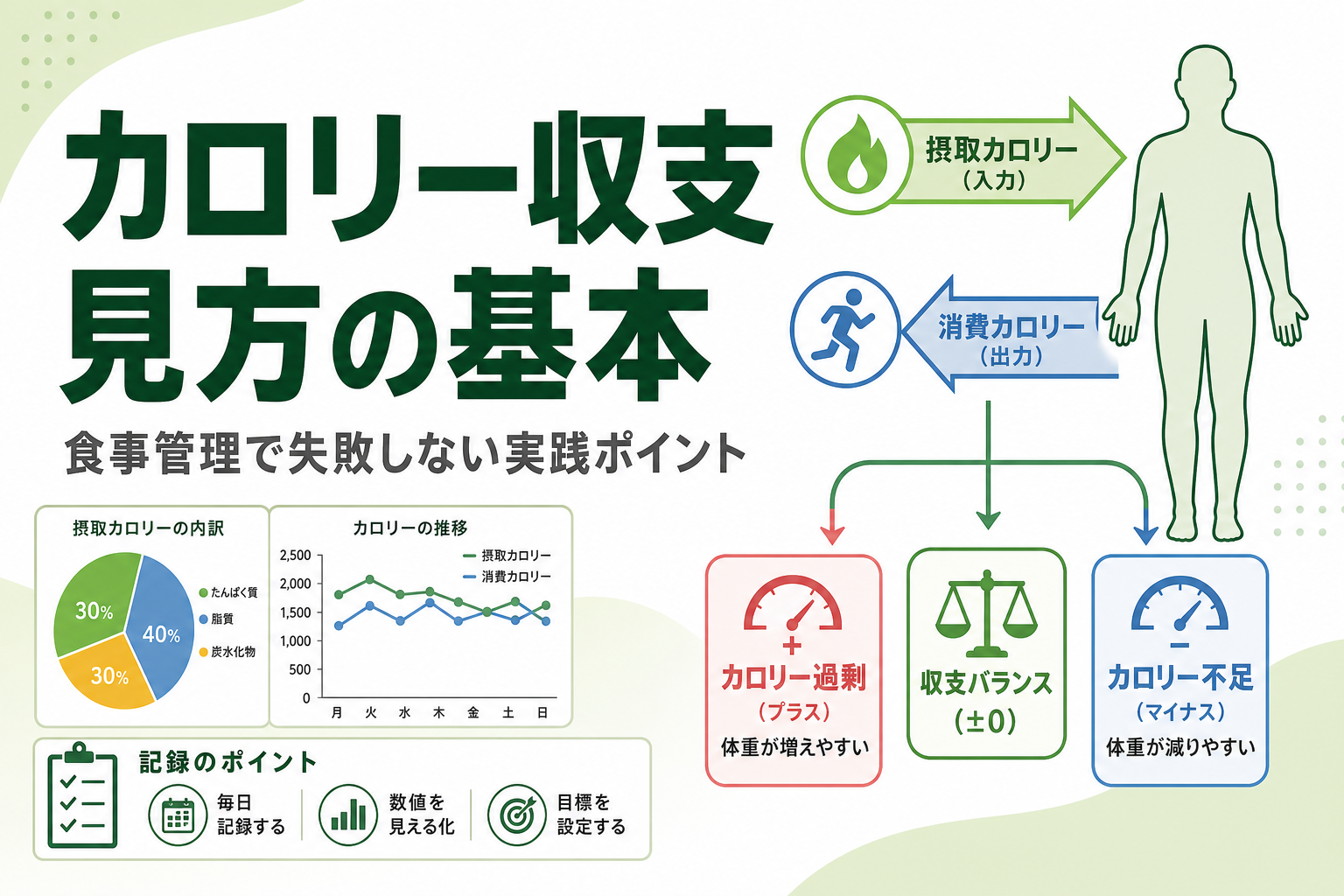 カロリー収支 見方の基本｜食事管理で失敗しない実践ポイント