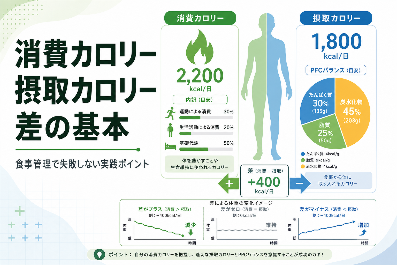 消費カロリー 摂取カロリー 差の基本｜食事管理で失敗しない実践ポイント