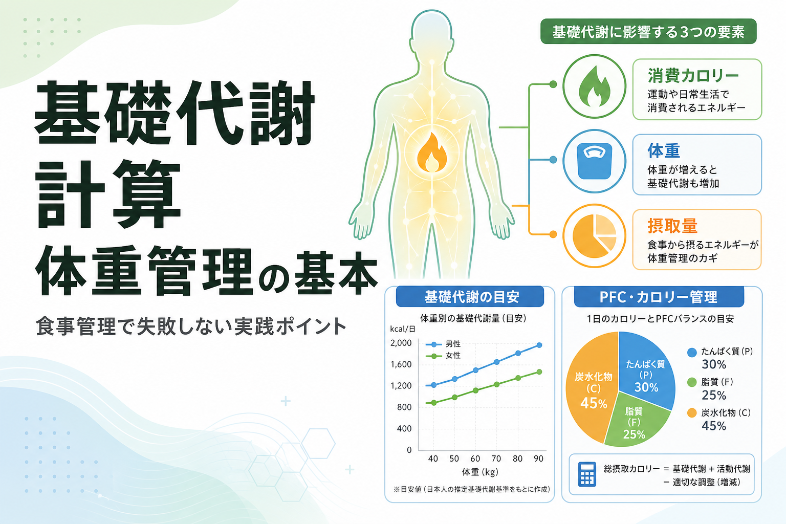 基礎代謝 計算 体重管理の基本｜食事管理で失敗しない実践ポイント