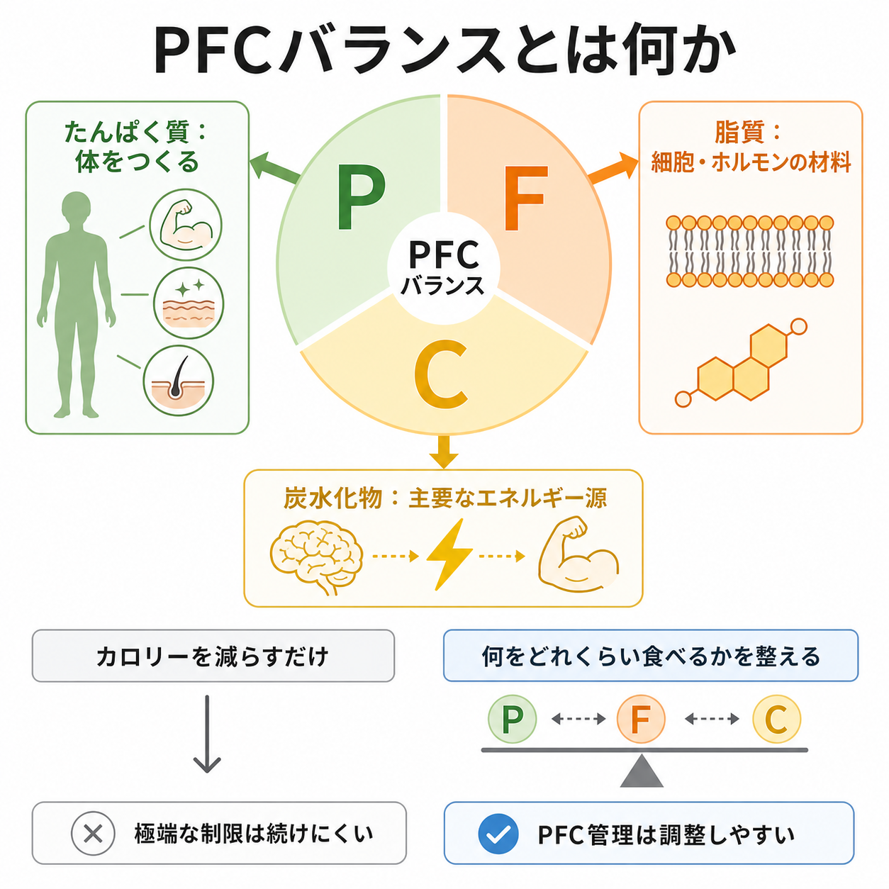 PFCバランスとは何か
