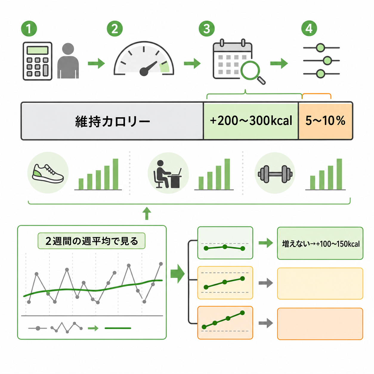 まず決めるべきはカロリー収支