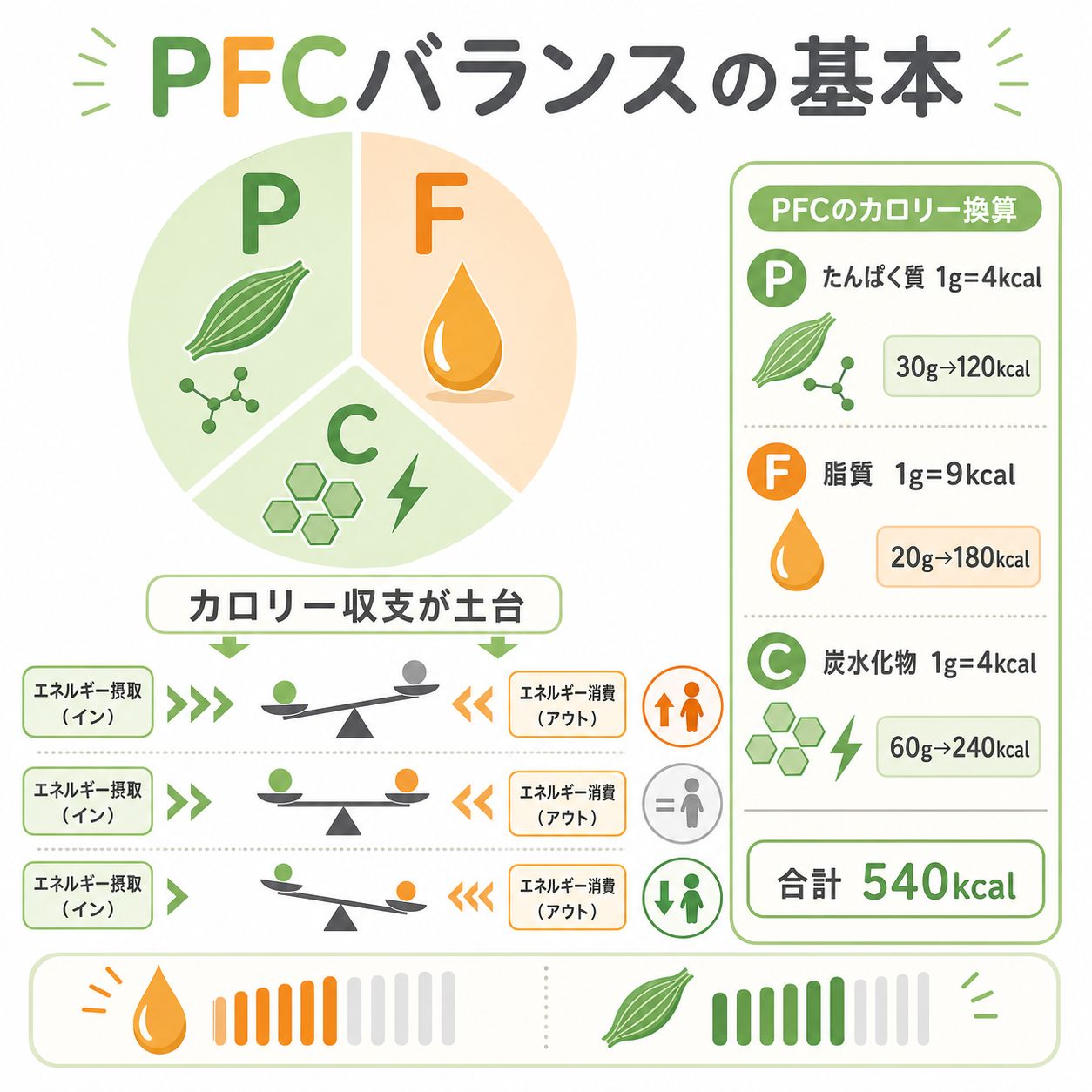 まず押さえたいPFCバランスの基本