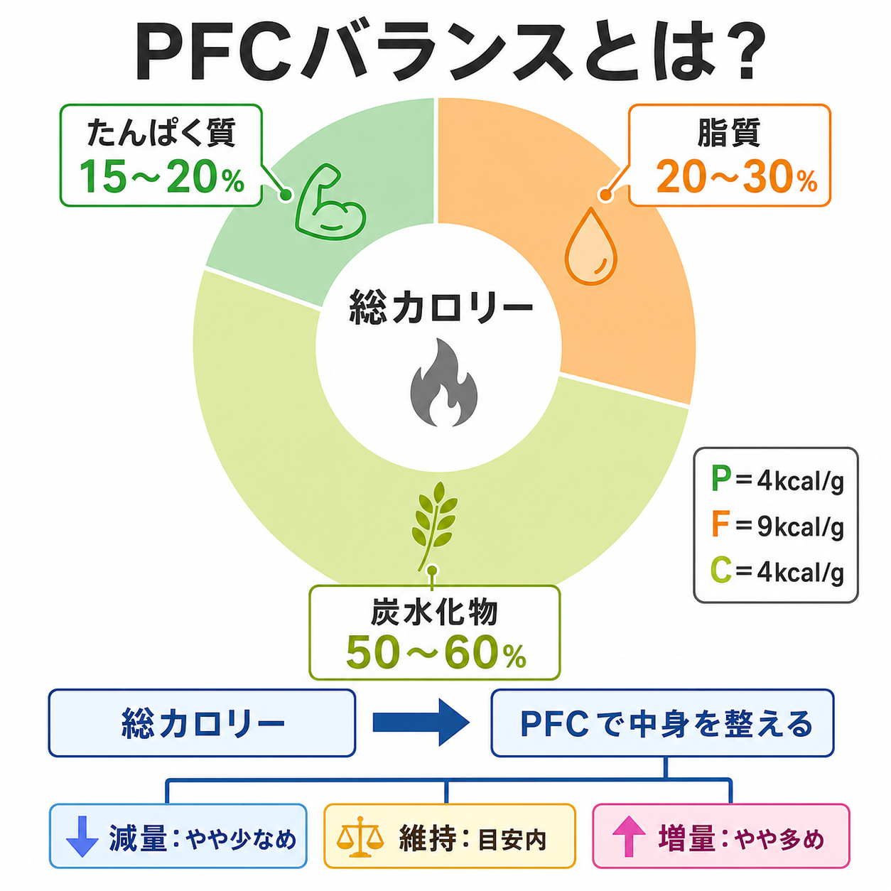 PFCバランスの基本を初心者向けに整理