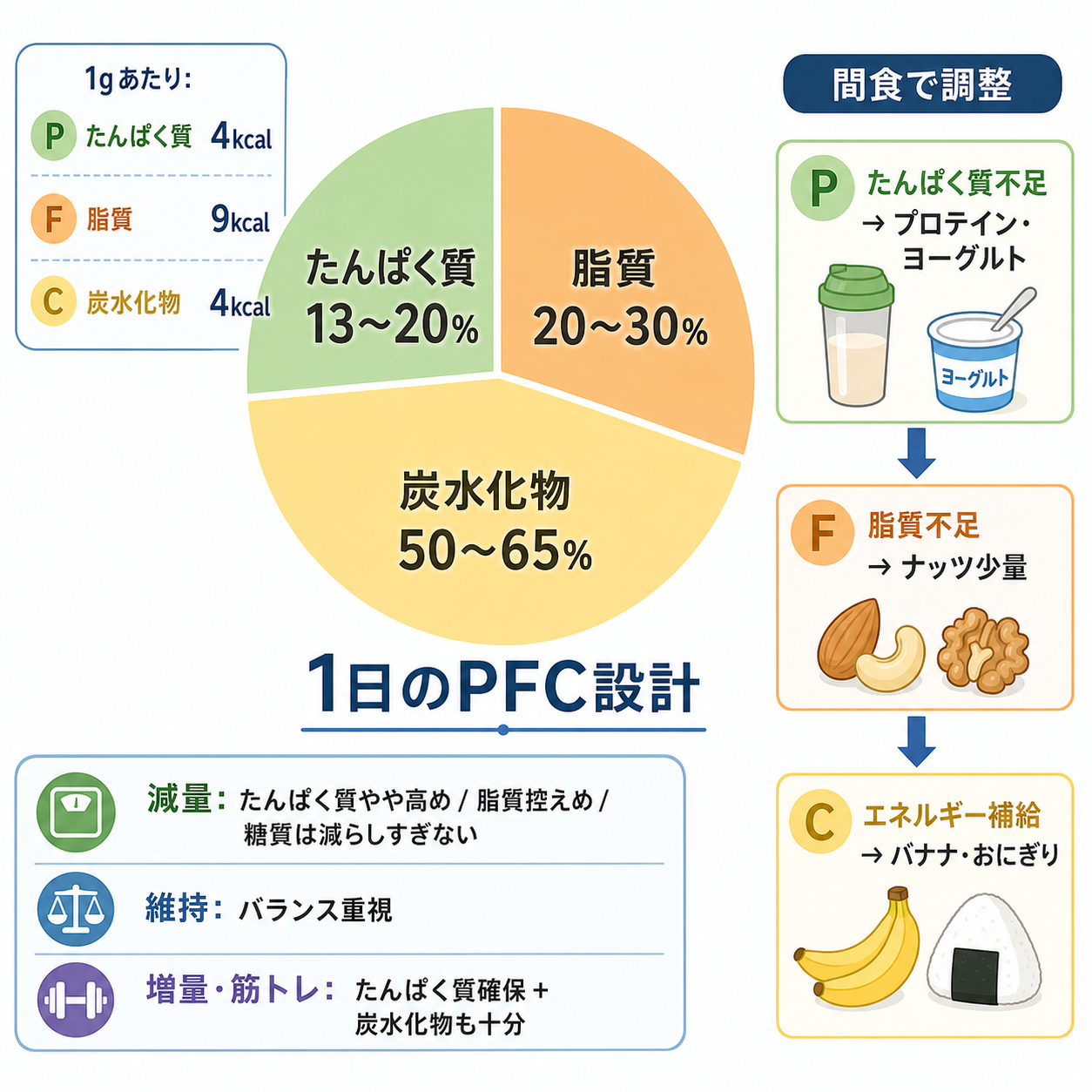PFCバランスと間食の基本