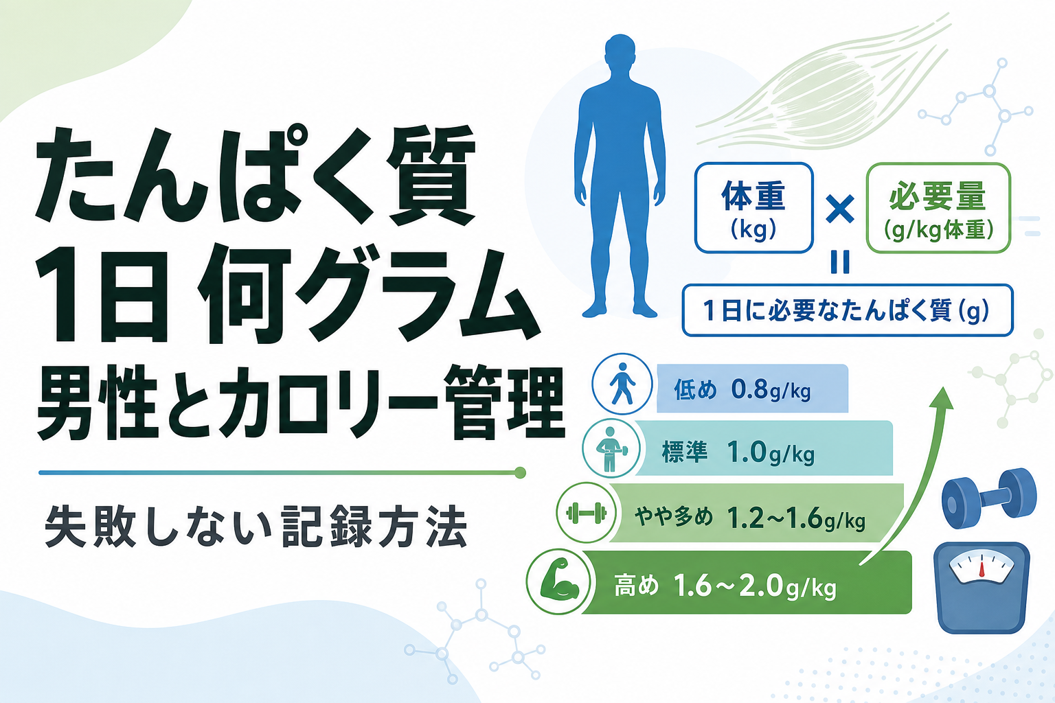 たんぱく質 1日 何グラム 男性とカロリー管理｜失敗しない記録方法