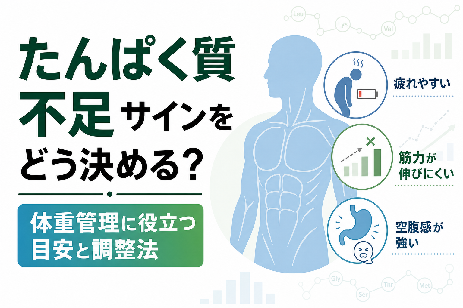 たんぱく質 不足 サインをどう決める？体重管理に役立つ目安と調整法