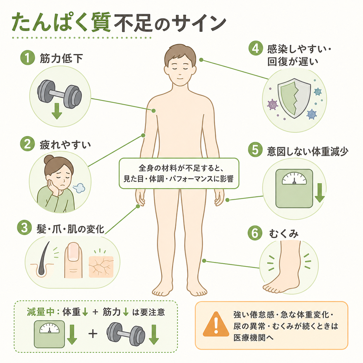 たんぱく質不足のサインは何を見るべきか