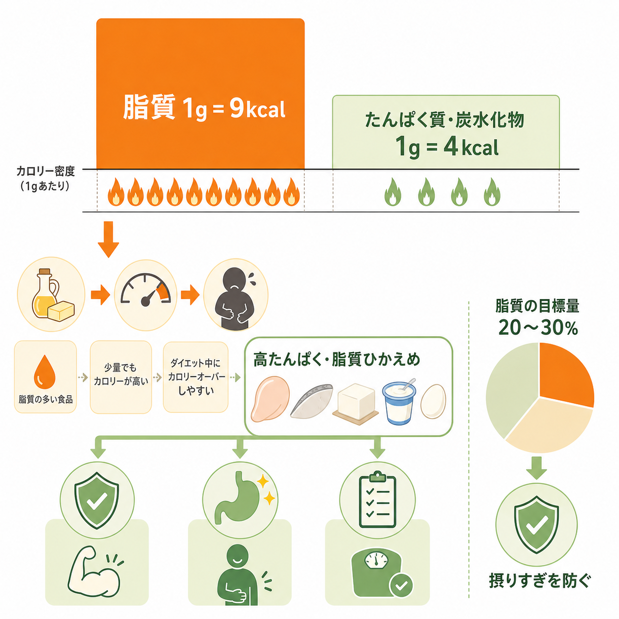 なぜ「低脂質 たんぱく質 食材」が役立つのか