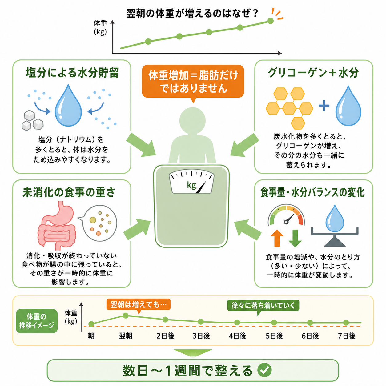 脂質を取りすぎた翌日に、まず知っておきたいこと