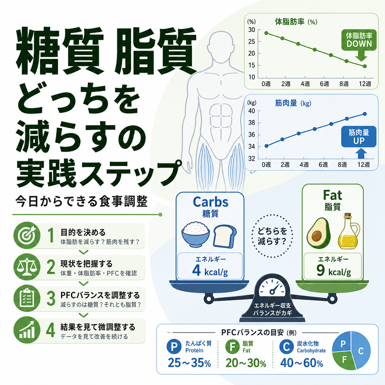 糖質 脂質 どっちを減らすの実践ステップ|今日からできる食事調整