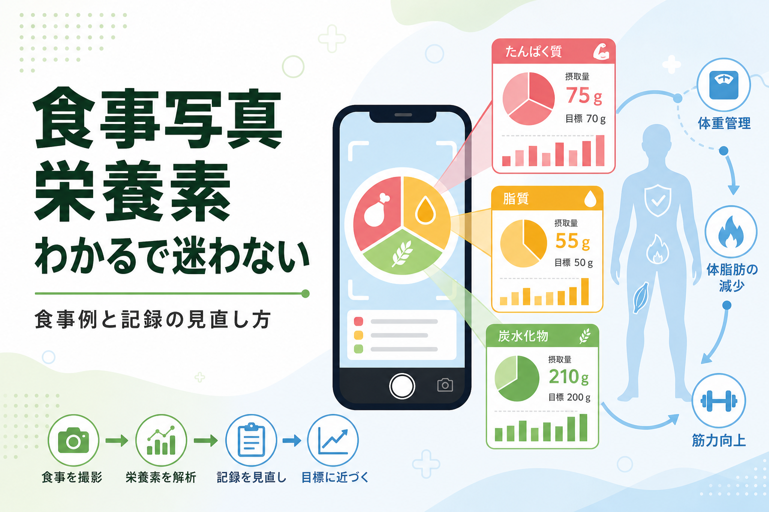 食事写真 栄養素 わかるで迷わない｜食事例と記録の見直し方