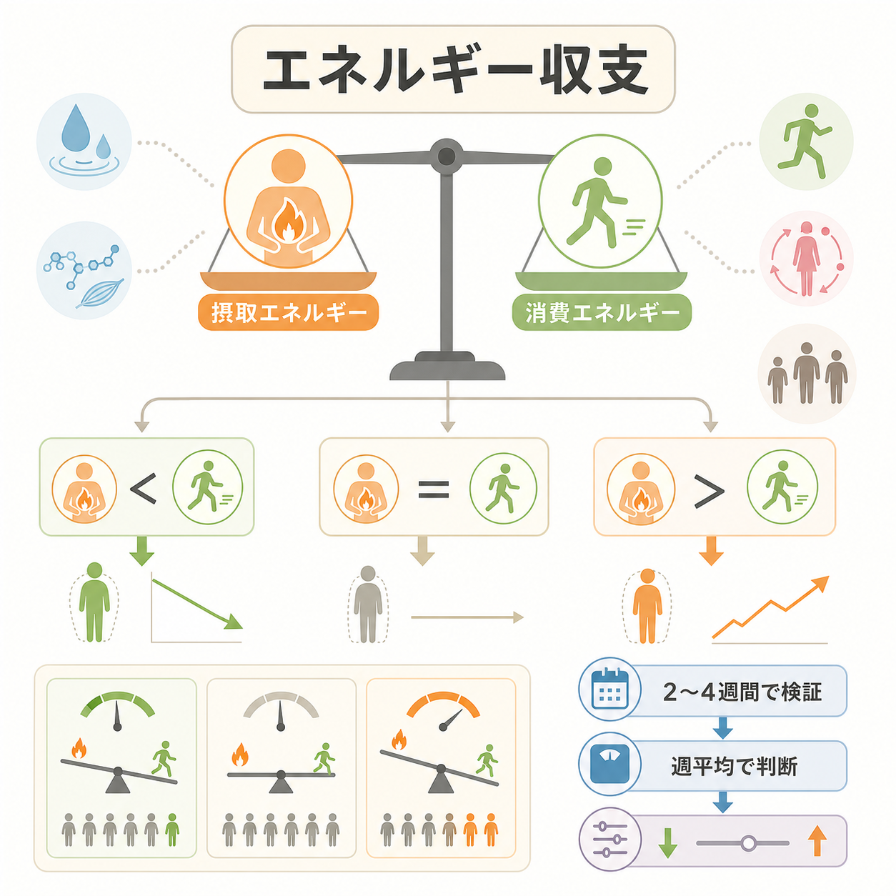 初心者が最初に見るべきは「エネルギー収支」