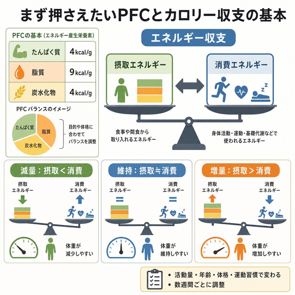 まず押さえたいPFCとカロリー収支の基本