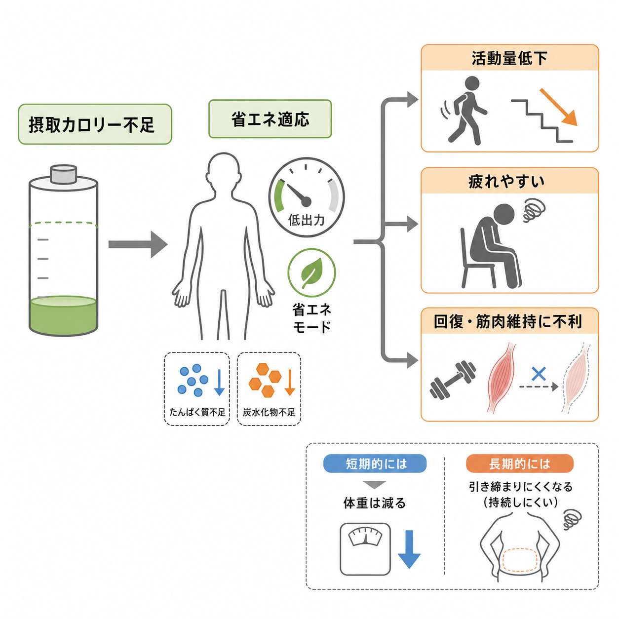 なぜカロリー不足で不調や停滞が起こるのか