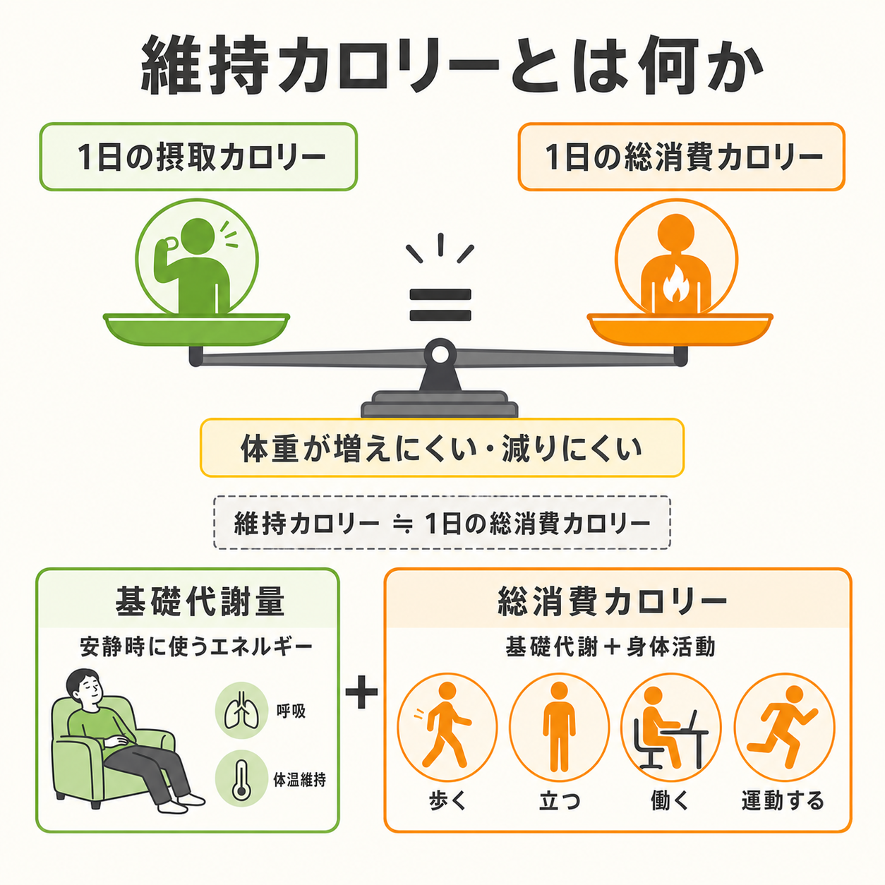 維持カロリーとは何か