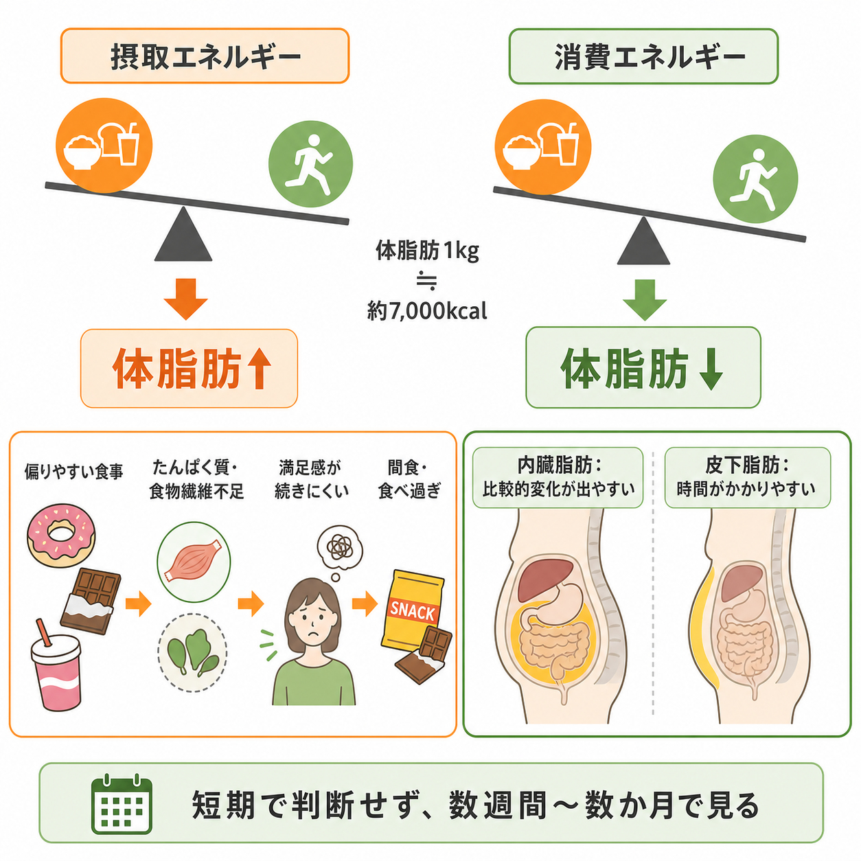体脂肪が増えやすい理由を先に整理する