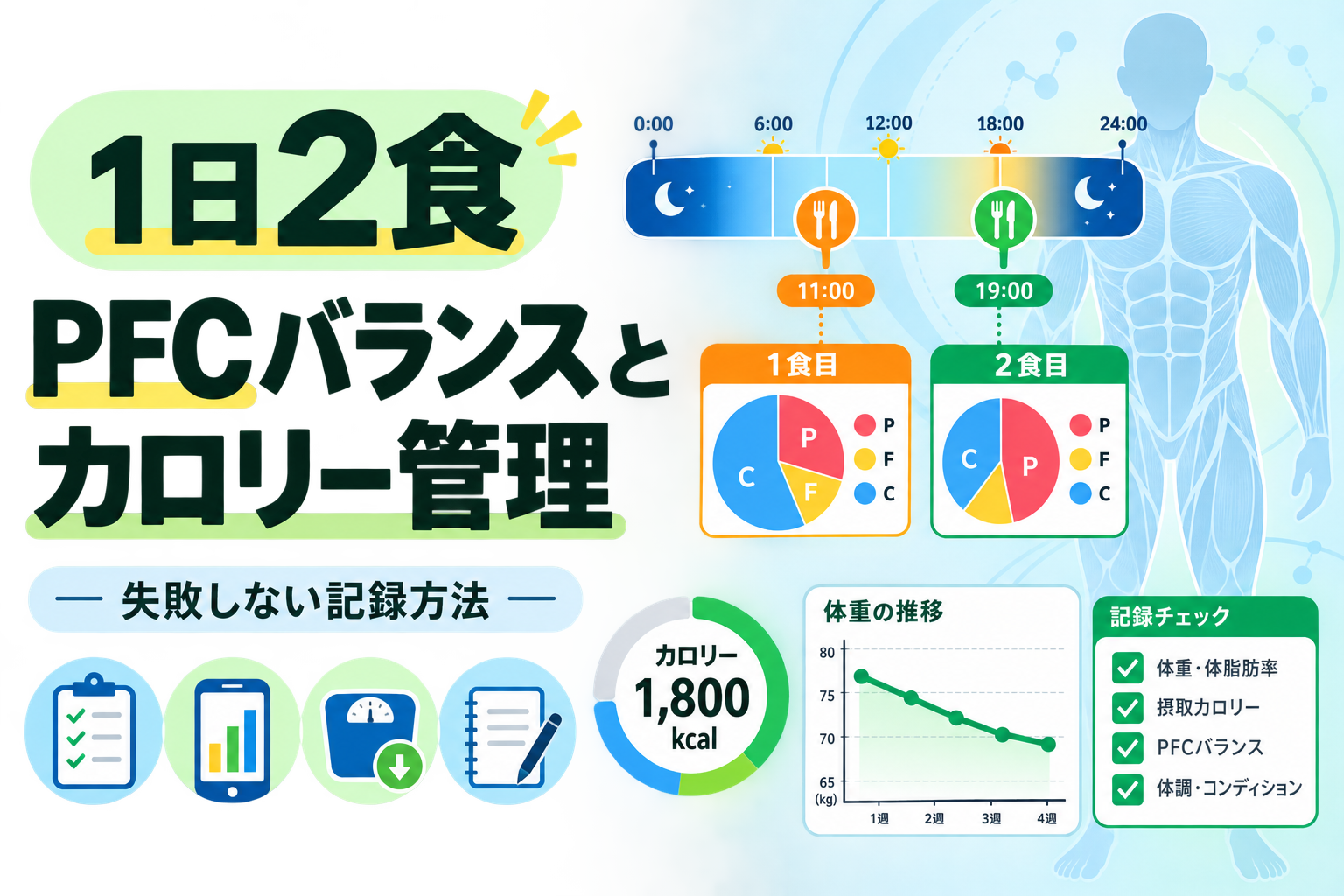 1日2食 PFCバランスとカロリー管理|失敗しない記録方法